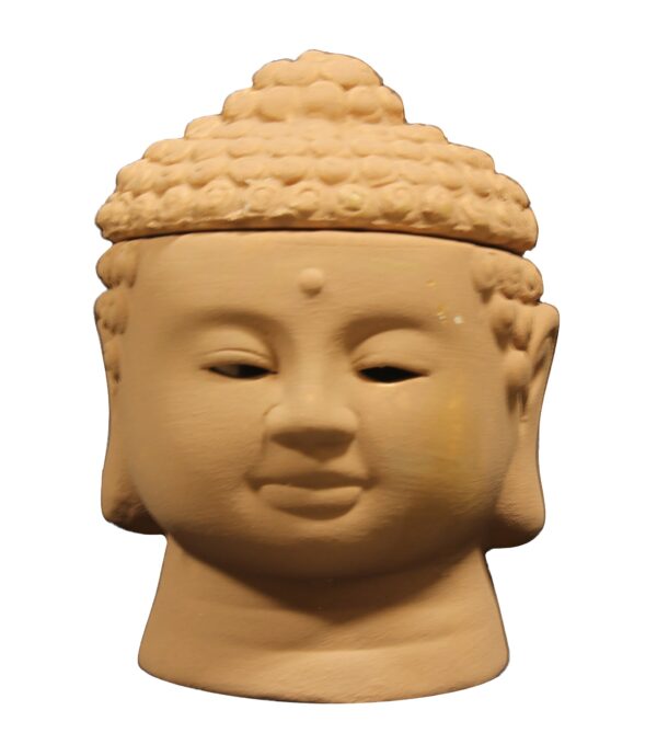 18P BB1 ZENDOZONES BACKYARD BUDDHA