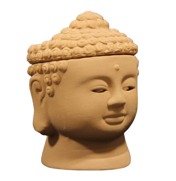 18P BB2 ZENDOZONES BACKYARD BUDDHA