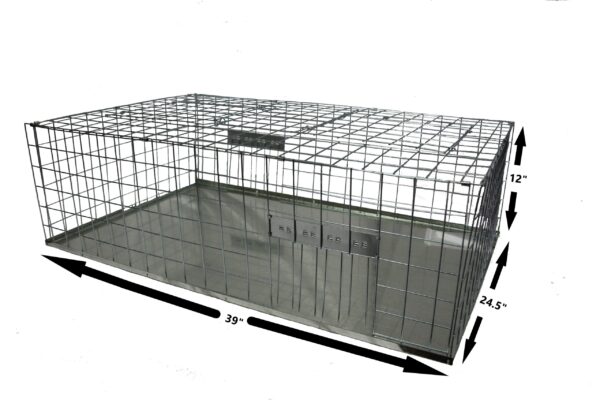 210139D V L Folding Pigeon Cage with measurements. scaled 1