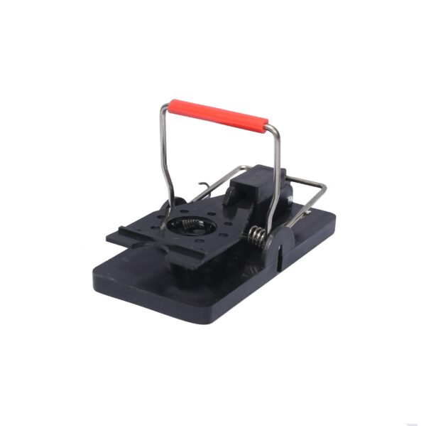 210515D V SNAP MOUSE TRAP 20BX 1014 scaled 1