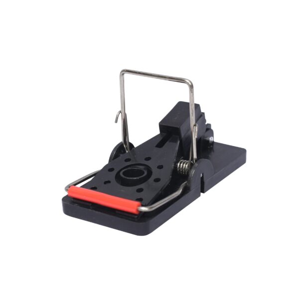 210515D1 V SNAP MOUSE TRAP 20BX 1014 scaled 1